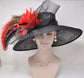 Black w Red  Feather Flowers  Peacock Feathers  Kentucky Derby,Tea Party Carriage Party  Royal AscotWide Brim  Sinamay Hat