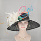 Black w White, Hot Pink, Lime Green, Turquoise  Lavender Dusty Pink Orange  Kentucky Derby,Tea Party Carriage Party  Wide Brim  Sinamay Hat