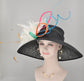 Black w White, Hot Pink, Lime Green, Turquoise  Lavender Dusty Pink Orange  Kentucky Derby,Tea Party Carriage Party  Wide Brim  Sinamay Hat